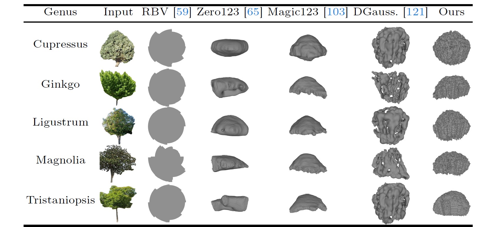 Top view comparisons